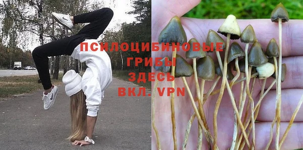 ALPHA-PVP Корсаков